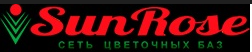 Sun Rose
