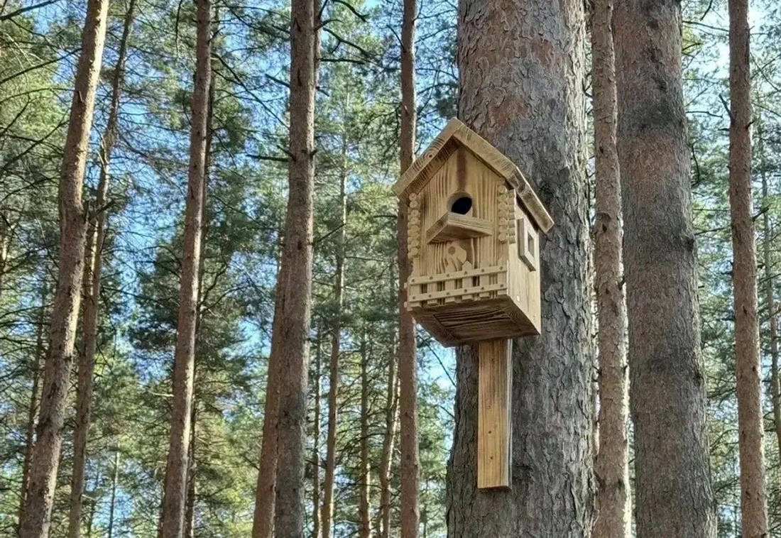 В Уфе пройдет экологический фестиваль «Скворечники»