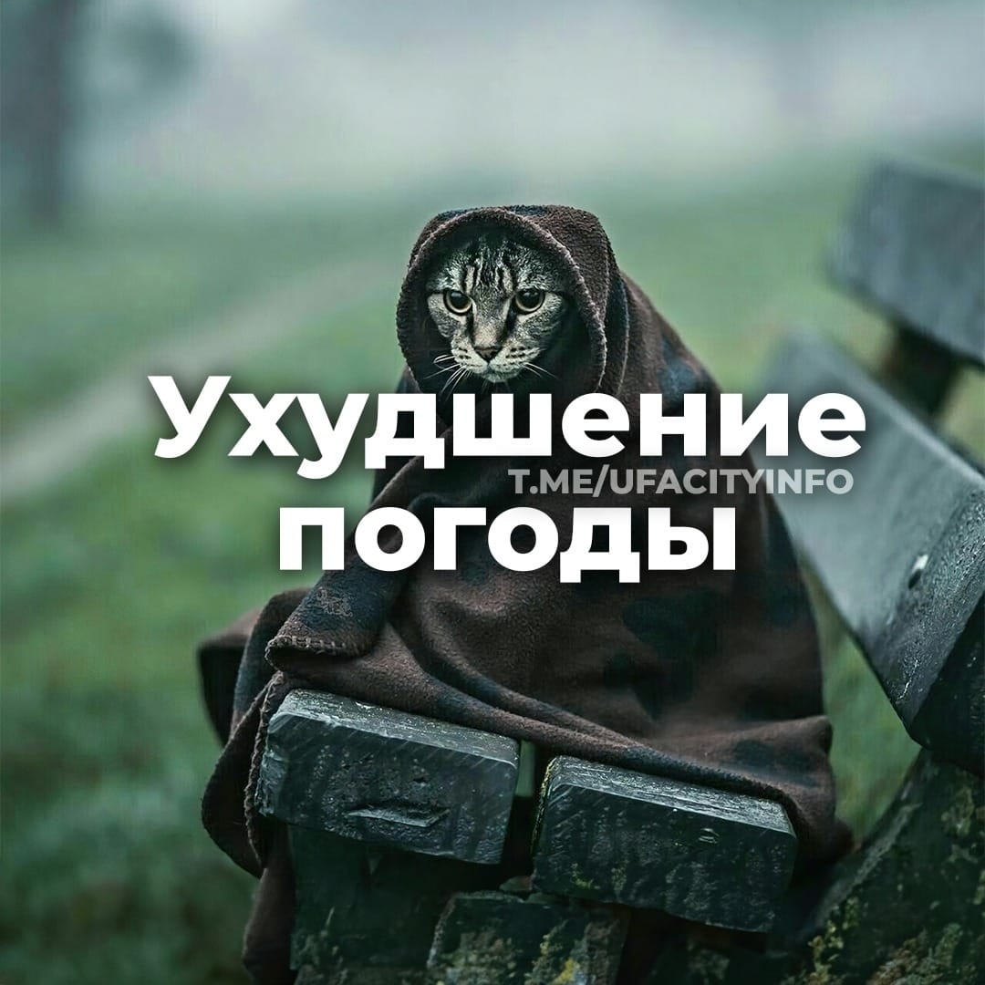 Дожди, косые дожди