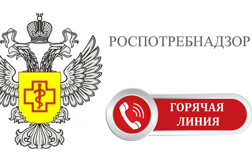 Горячая линия