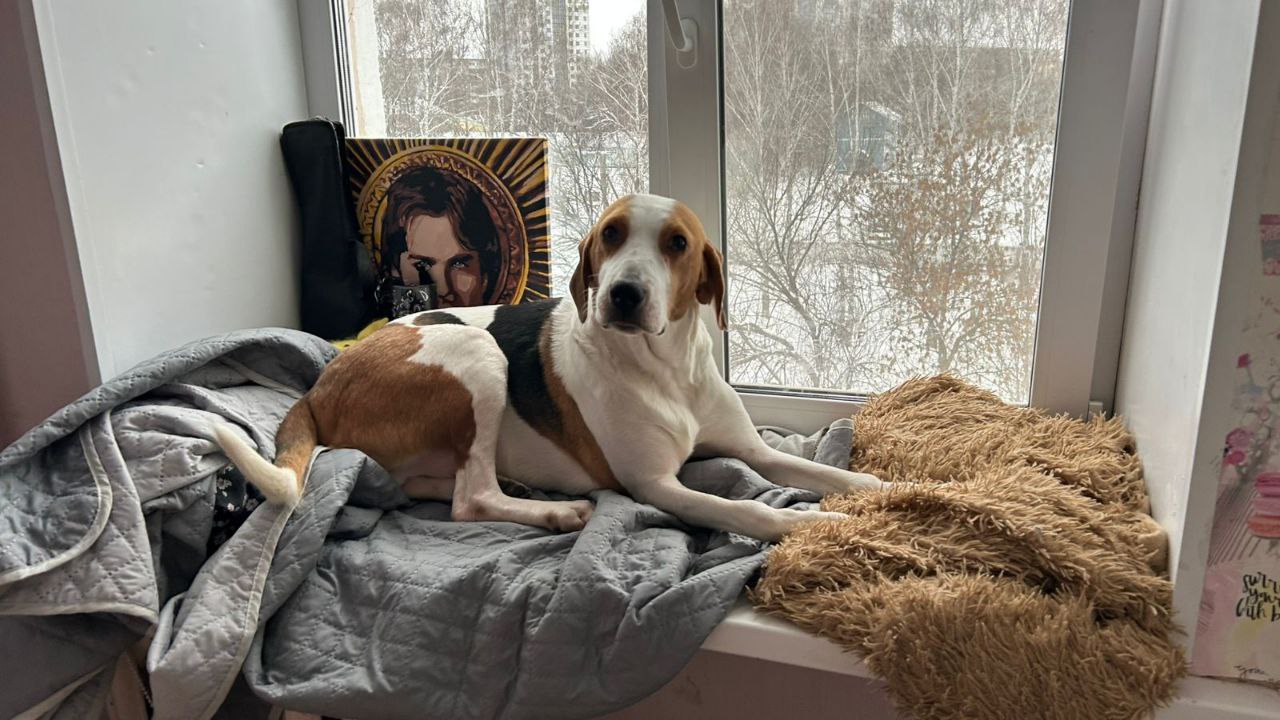 «Уфа добрая»: Джек – покоритель сердец 