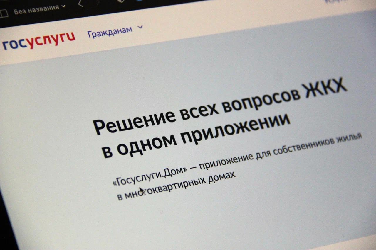 Всех объединяет День собственника