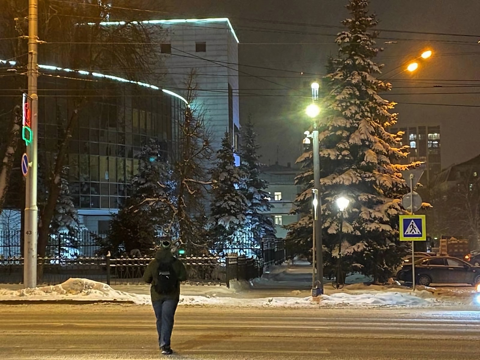 Пешеходная дисциплина
