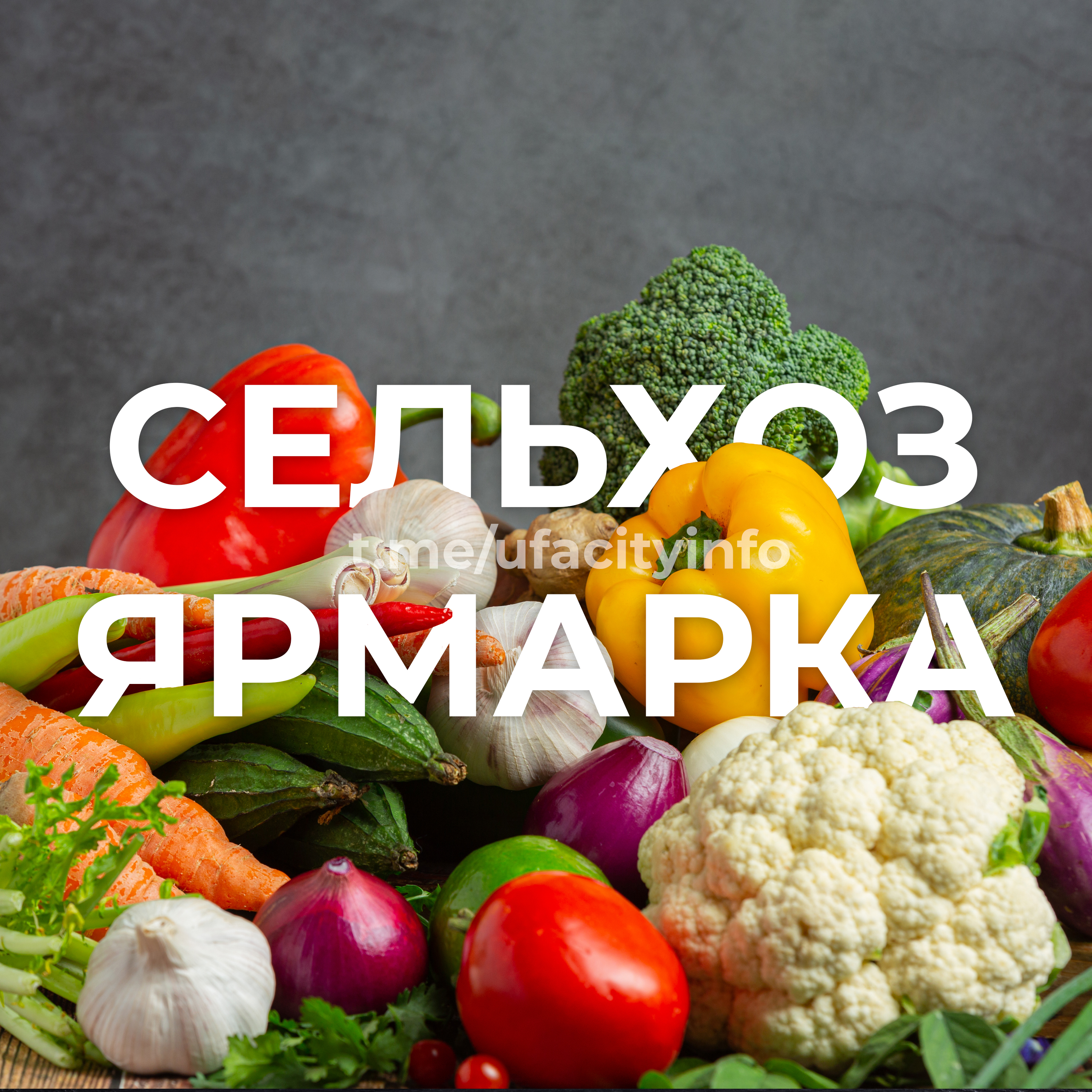 Выбирай своё