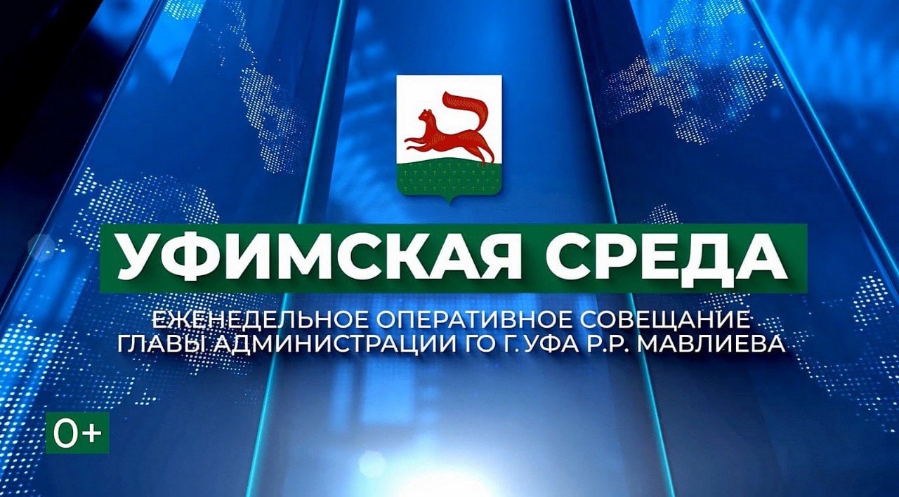 Уфимская среда Уфимская среда