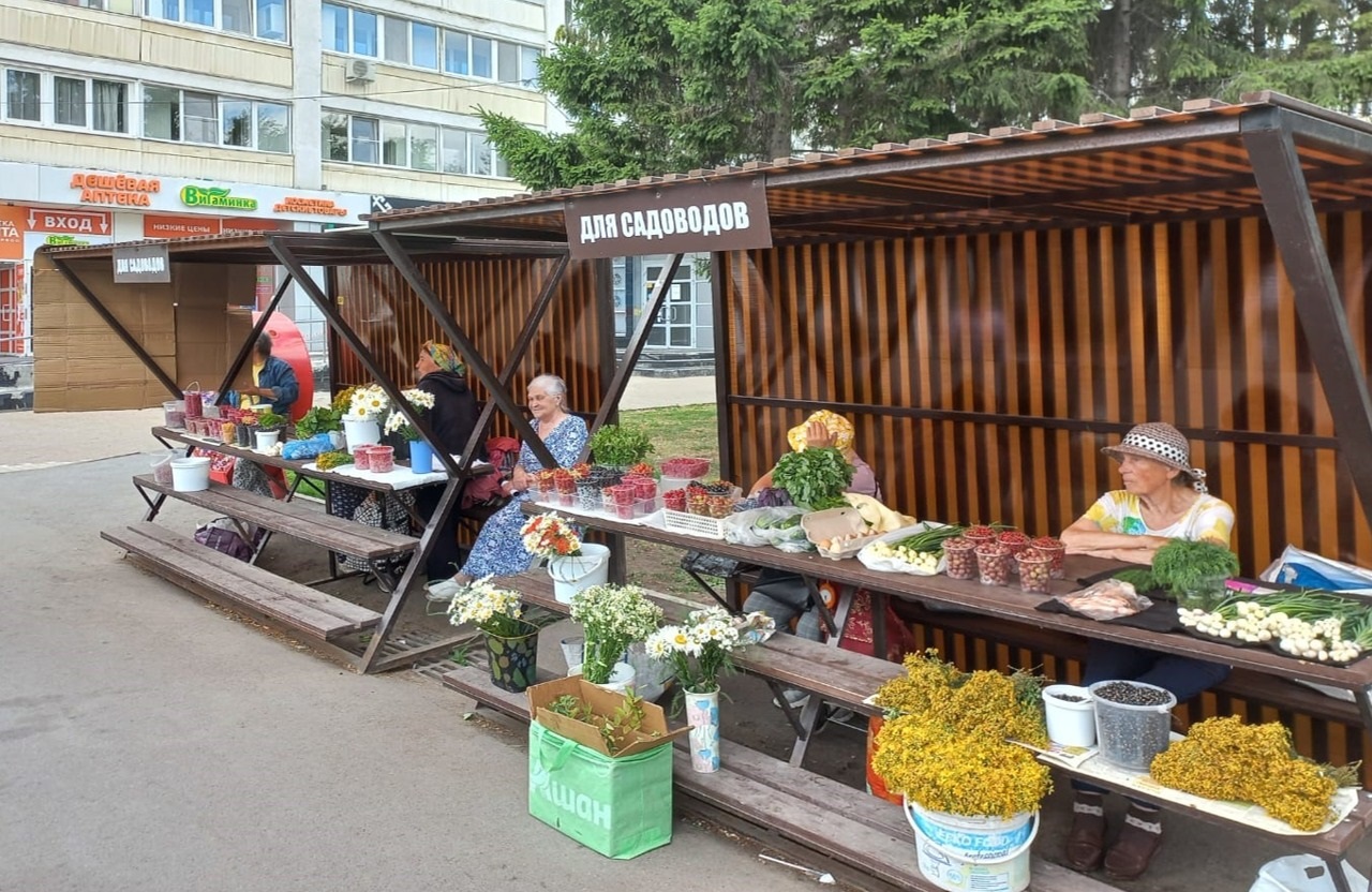 «Уфимская среда»: торговля и улицы