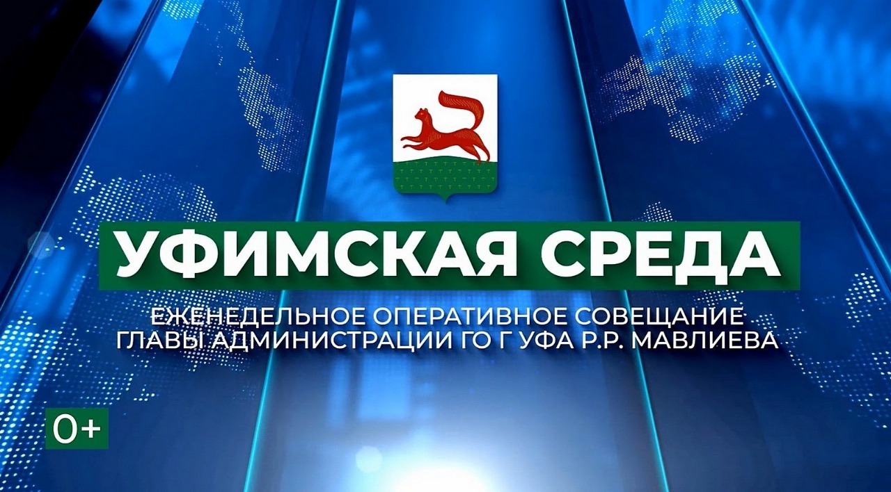 Уфимская среда