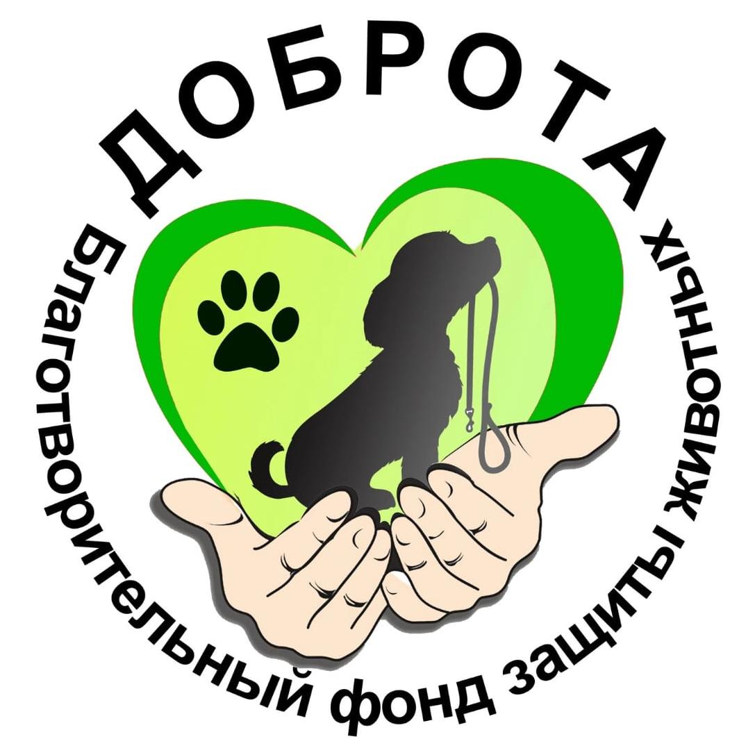 К животным по-человечески 