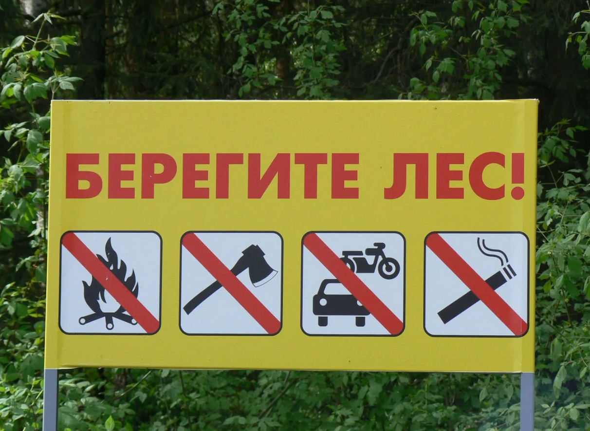 Как не допустить лесной пожар?