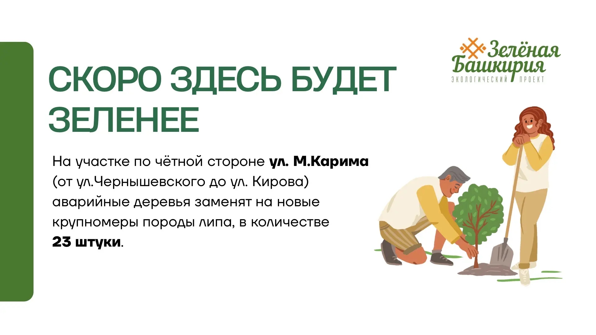 Озеленяя центр