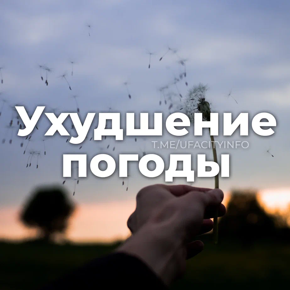 Дожди и грозы 