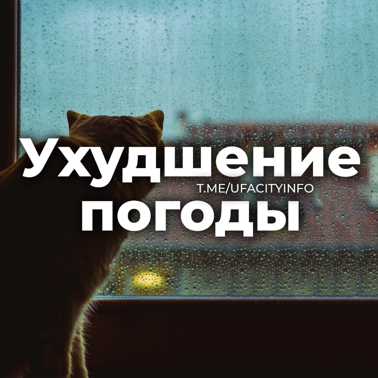 Гроза, ветер, туман