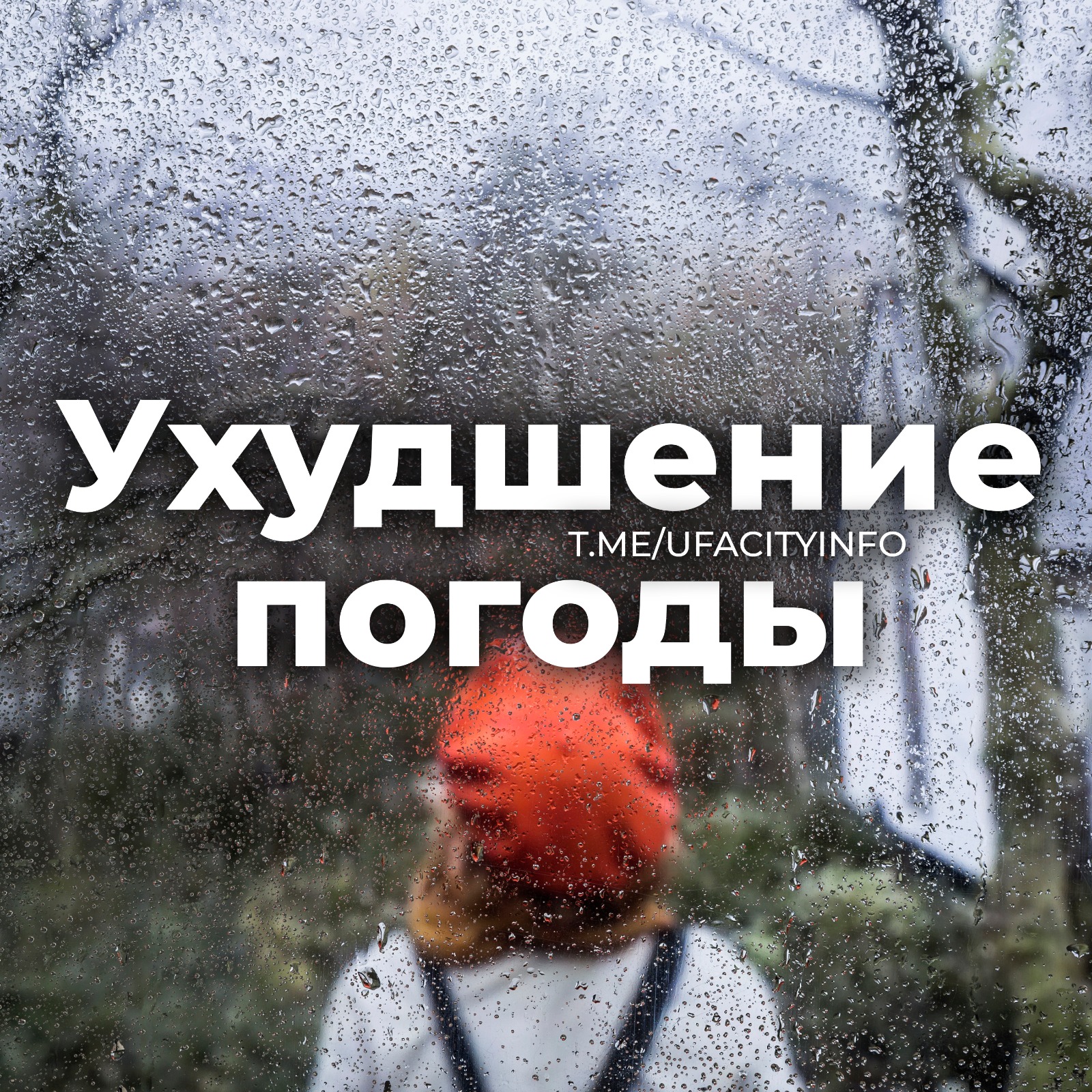 Дожди и грозы
