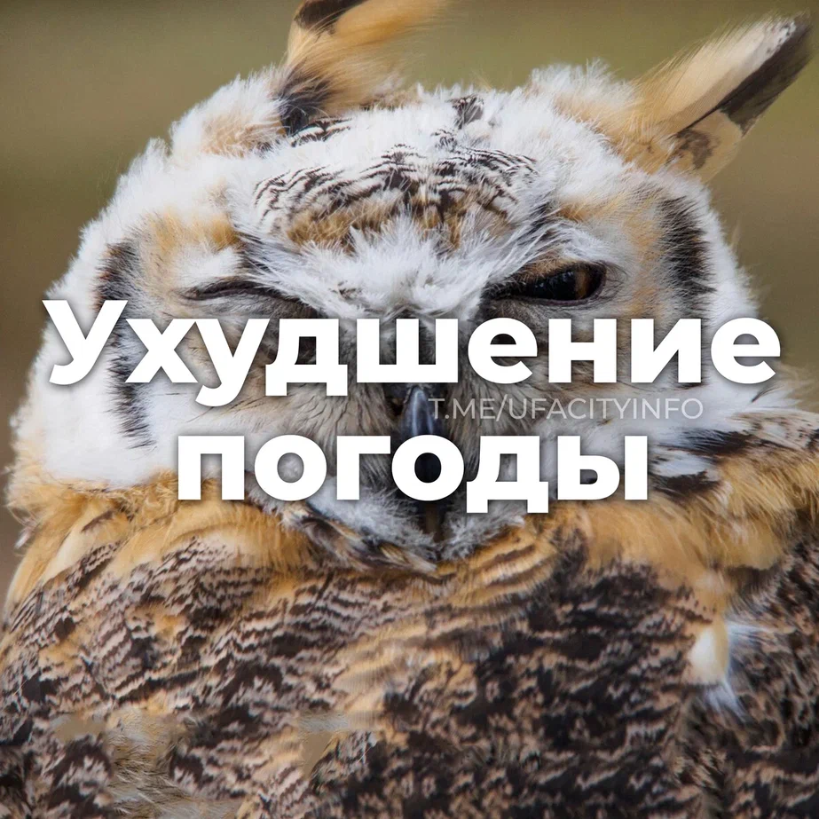 Шквалистый ветер и грозы  